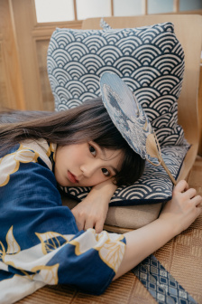 后宫:帝王之妾